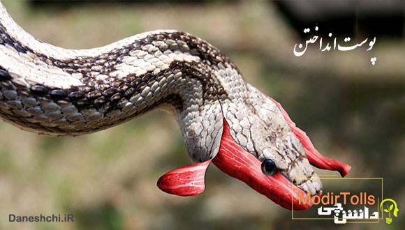معنی پوست انداختن