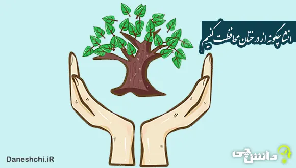 انشا در مورد چگونه از درختان محافظت کنیم