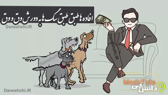 ضرب المثل افاده ها طبق طبق سگ ها به دورش وق و وق