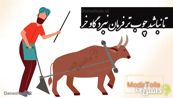 تا نباشد چوب تر فرمان نبرد گاو خر
