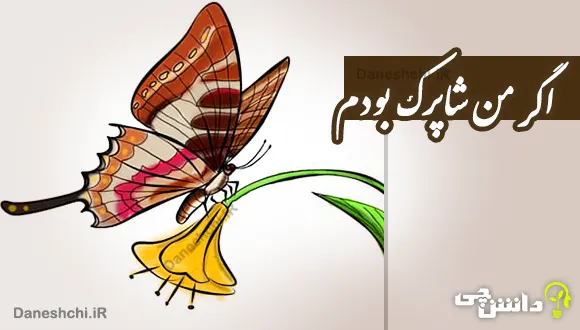 انشا اگر من شاپرک بودم