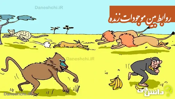 تحقیق درباره روابط بین موجودات زنده