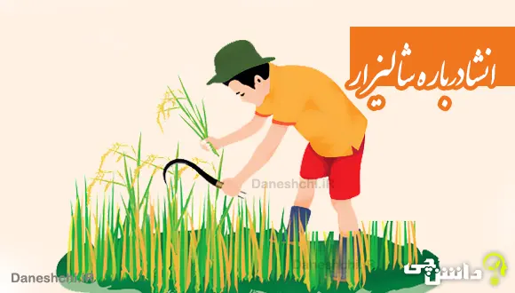 انشا ادبی درباره شالیزار