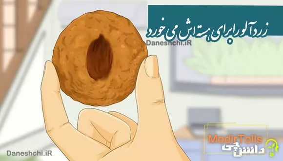 ضرب المثل زردآلو را برای هسته اش می خورد