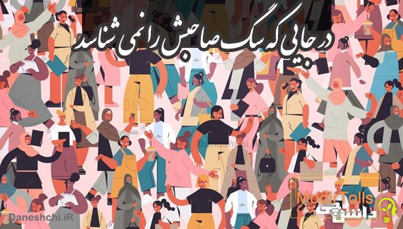 در جایی که سگ صاحبش را نمی شناسد 