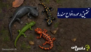 تحقیق در مورد انواع سمندرها و غذایشان