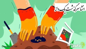 انشا درباره سرگذشت یک دانه از زبان خودش