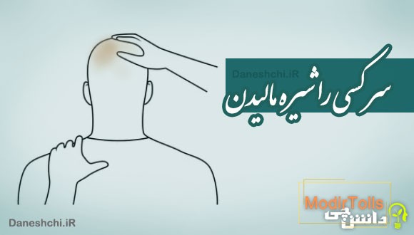 سر کسی را شیره مالیدن