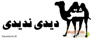 شتر دیدی ندیدی