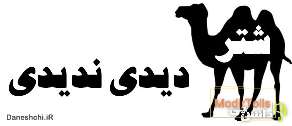 شتر دیدی ندیدی