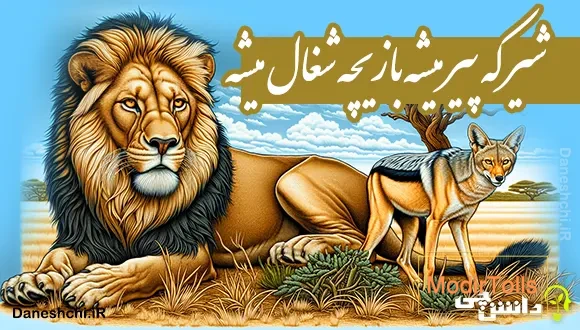 شیر که پیر میشه بازیچه شغال میشه