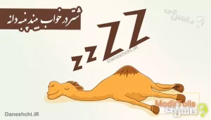 شتر در خواب بیند پنبه دانه