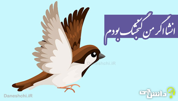 انشا اگر من یک گنجشک بودم