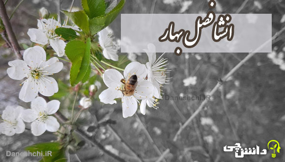 انشا درمورد بهار اولین فصل سال