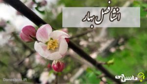 انشا در مورد بهار اولین فصل سال