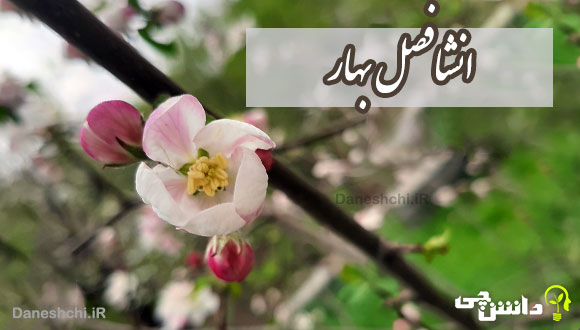 انشا در مورد بهار اولین فصل سال