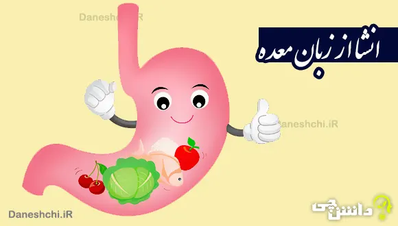 انشا از زبان یکی از اعضای بدن ( معده)