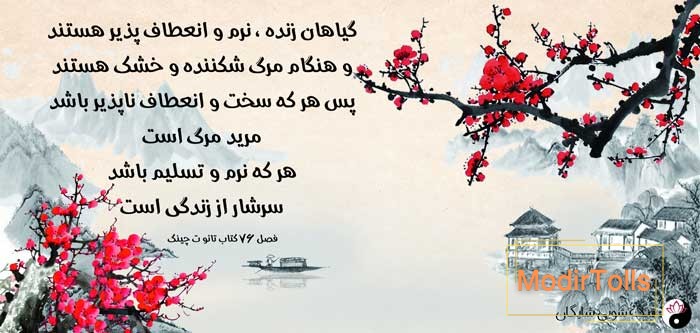 تائو و تائوئیسم