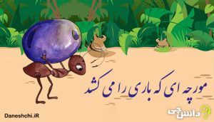 توصیف و انشا مورچه ای که باری را می کشد