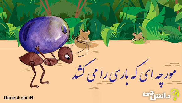 توصیف و انشا مورچه ای که باری را می کشد