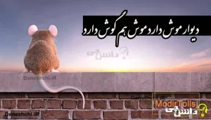 دیوار موش دارد موش هم گوش دارد