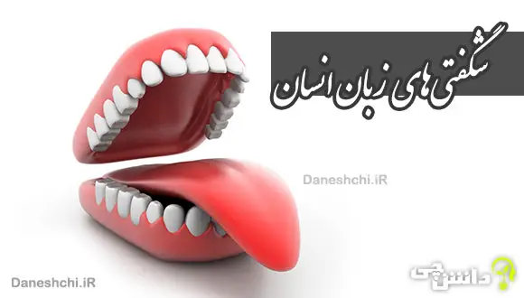 تحقیق در مورد زبان انسان و شگفتی‌های آن
