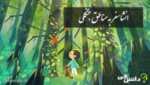 انشا در مورد سفر به مناطق جنگلی