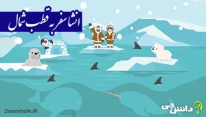 انشا در مورد سفر به قطب شمال