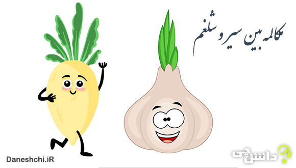 مکالمه بین سیر و شلغم