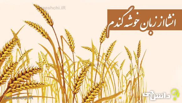 انشا از زبان خوشه گندم
