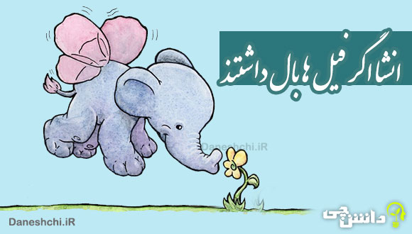 انشا درمورد اگر فیل‌ها بال داشتند چه می‌شد