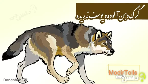 گرگ دهن آلوده و یوسف ندریده