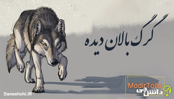گرگ بالان دیده