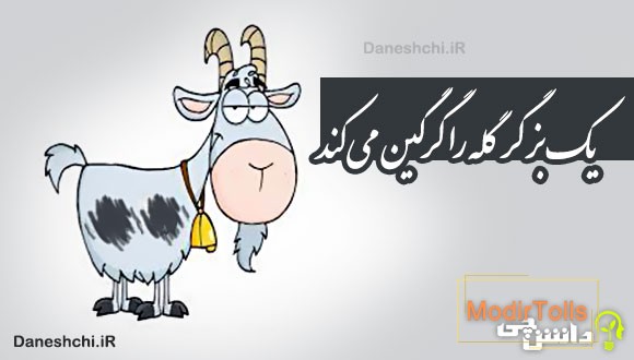یک بز گر گله را گرگین می کند
