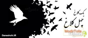 یک کلاغ چهل کلاغ