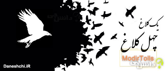 یک کلاغ چهل کلاغ 