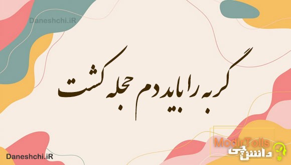 گربه را باید دم حجله کشت