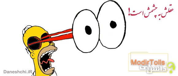 معنی ضرب المثل عقلش به چشمش است