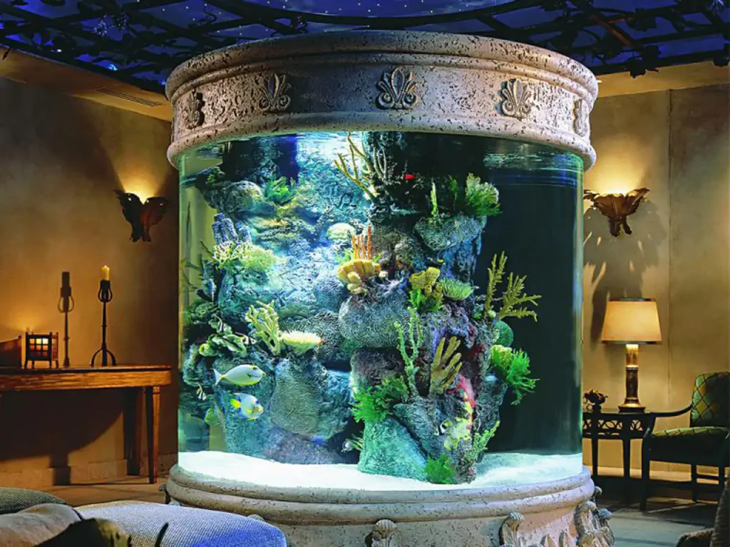 مدل آکواریوم + زیباترین مدل های آکواریوم کوچک و خانگی و ترند امسال