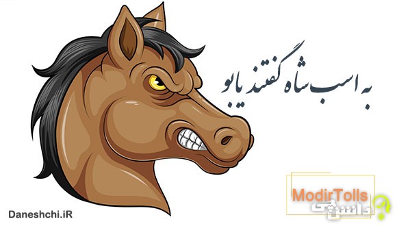 معنی به اسب شاه گفتند یابو