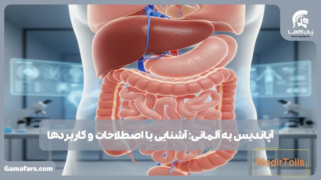 آپاندیس به آلمانی