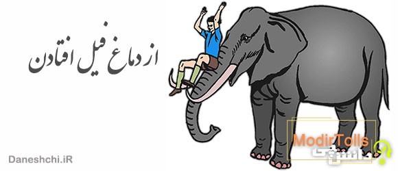 ضرب المثل از دماغ فیل افتادن