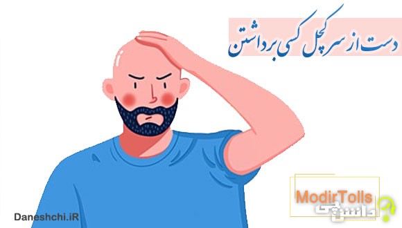 دست از سر کچل کسی برداشتن