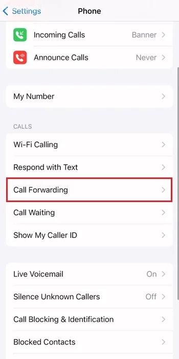 برداشتن ویس میل ایفون