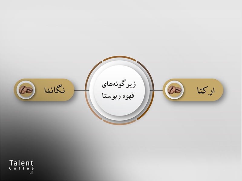 زیرگونه های قهوه ربوستا