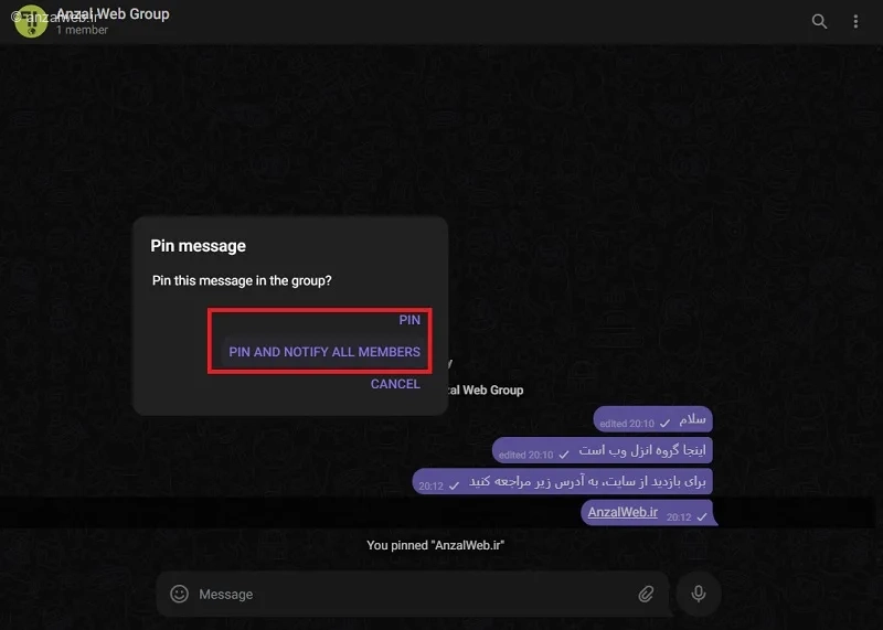 گزینههای پین شیام در گروه تلگرام وب