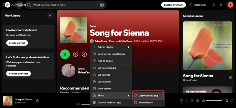 دانلود آهنگ از اسپاتیفای رایگان