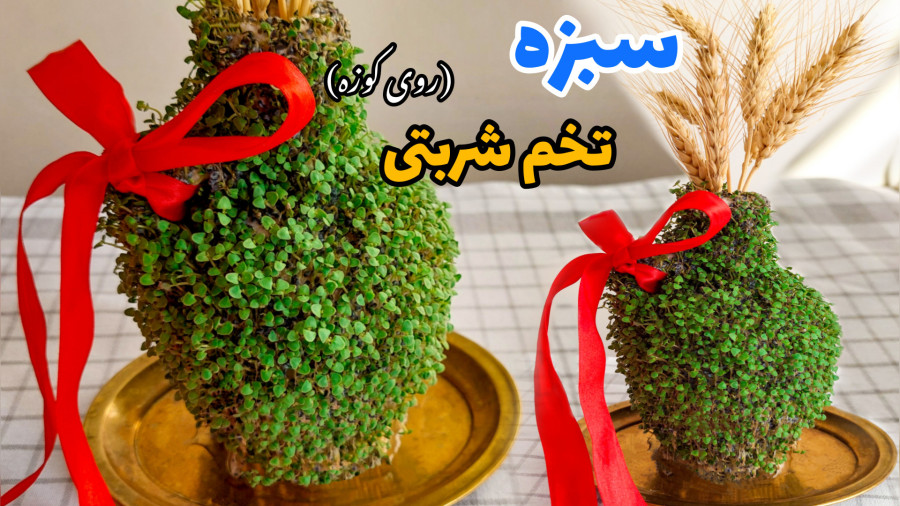 آموزش سبزه روی کوزه/ کاشت سبزه عید/ سبزه تخم شربتی/ سبزه عید