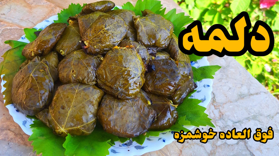 طرز تهیه دلمه برگ مو / مرحله به مرحله با تمام نکات