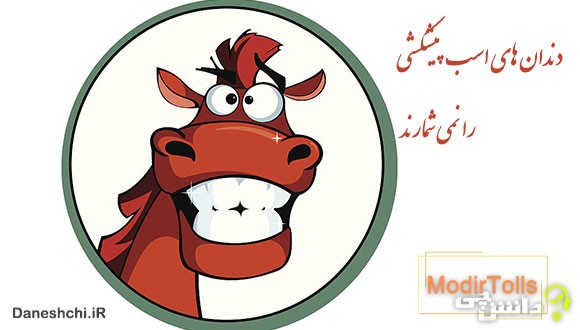 دندان اسب پیشکشی را نمی شمارند